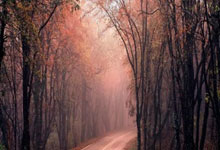 Ning焦点对战，库里与80激战澳大利亚队分钟，刷新纪录胜负难料！气势如虹延续的简单介绍